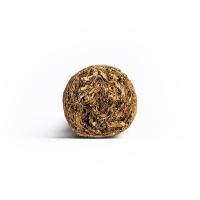 AVO Classic No. 2 Toro Cigar - 1 Single